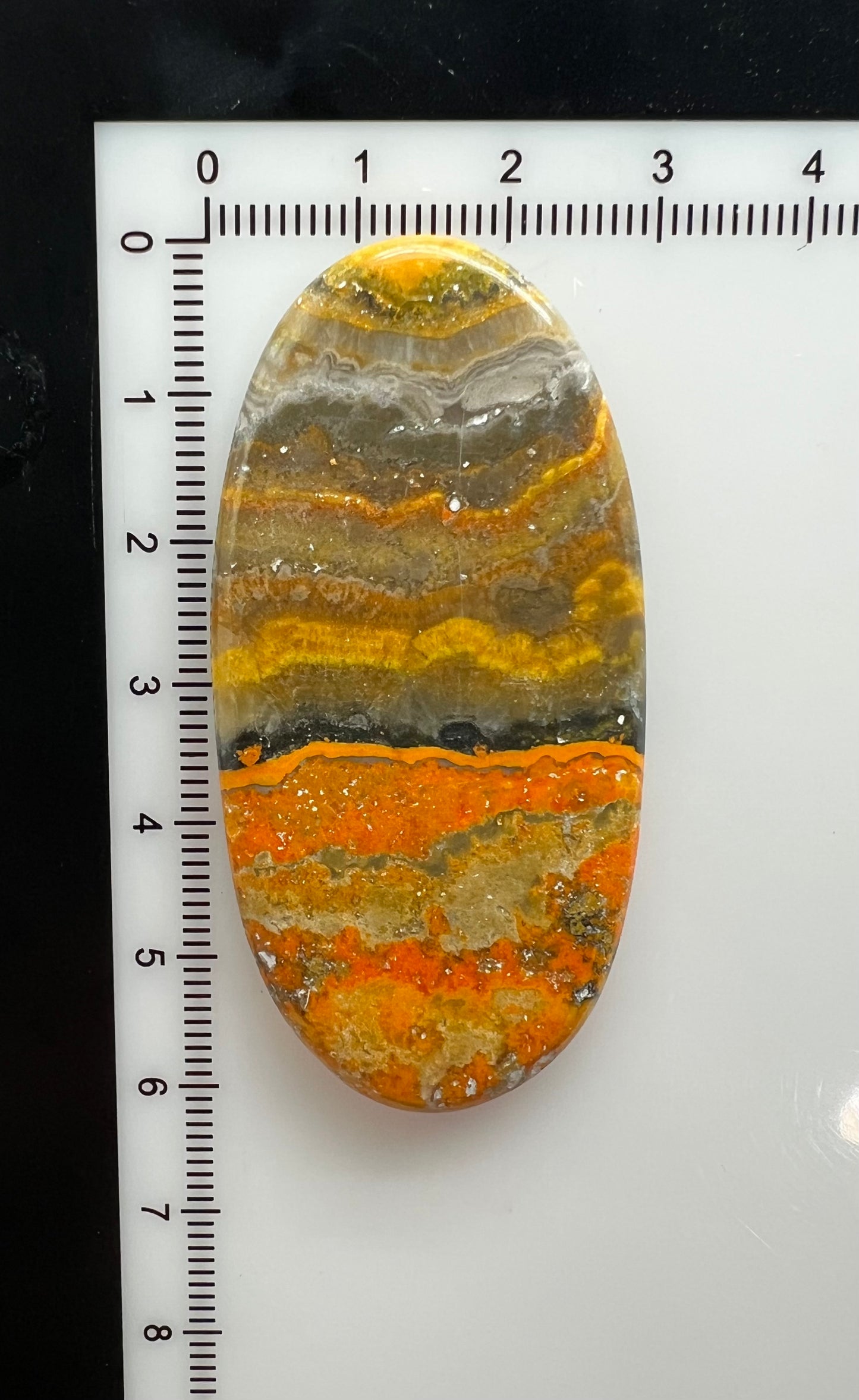 Bumblebee Jasper