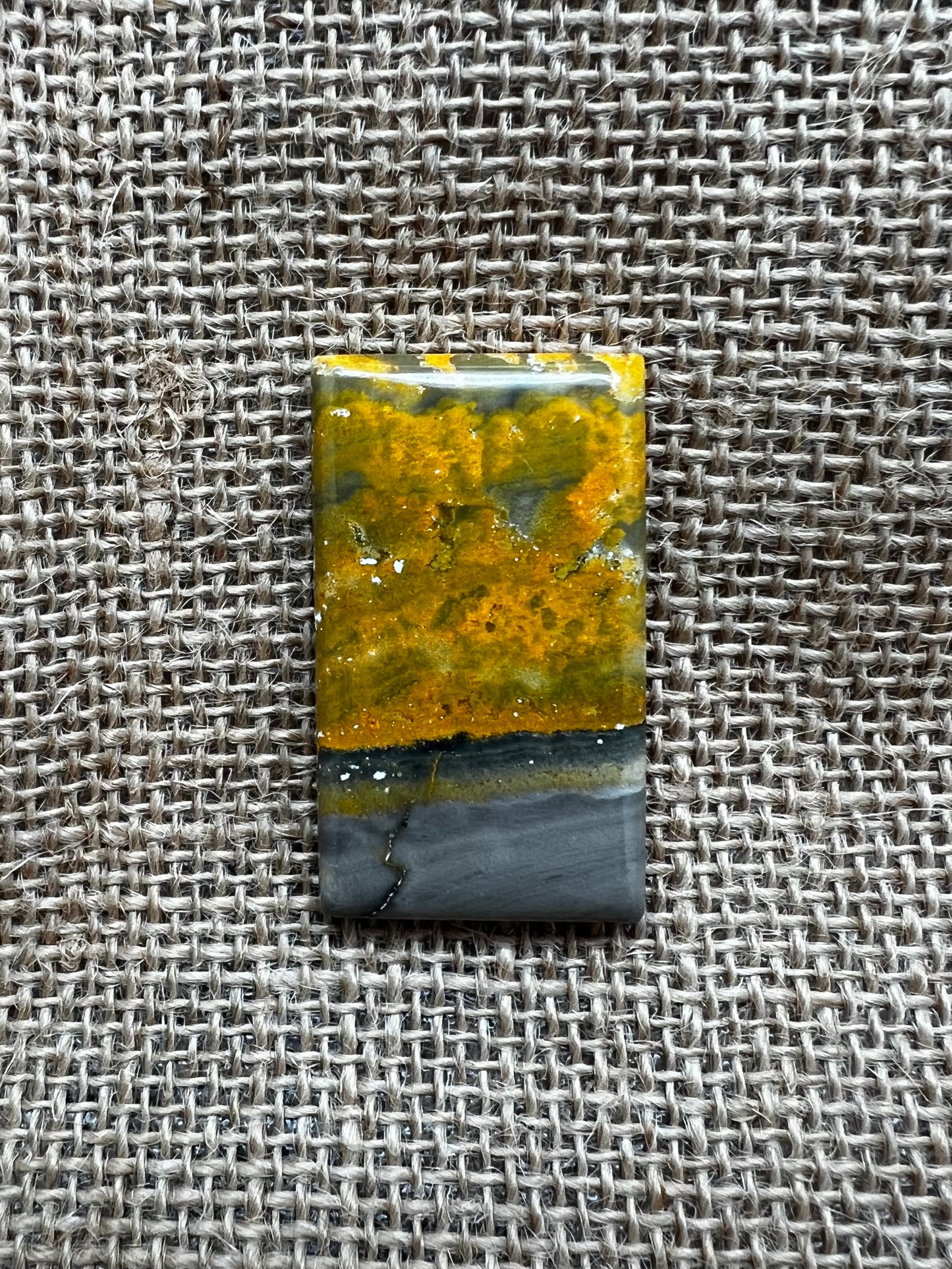 Bumblebee Jasper