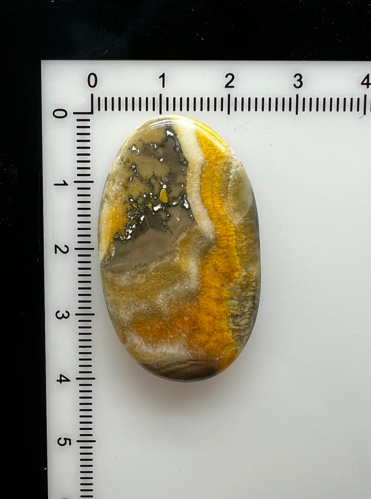 Bumblebee Jasper