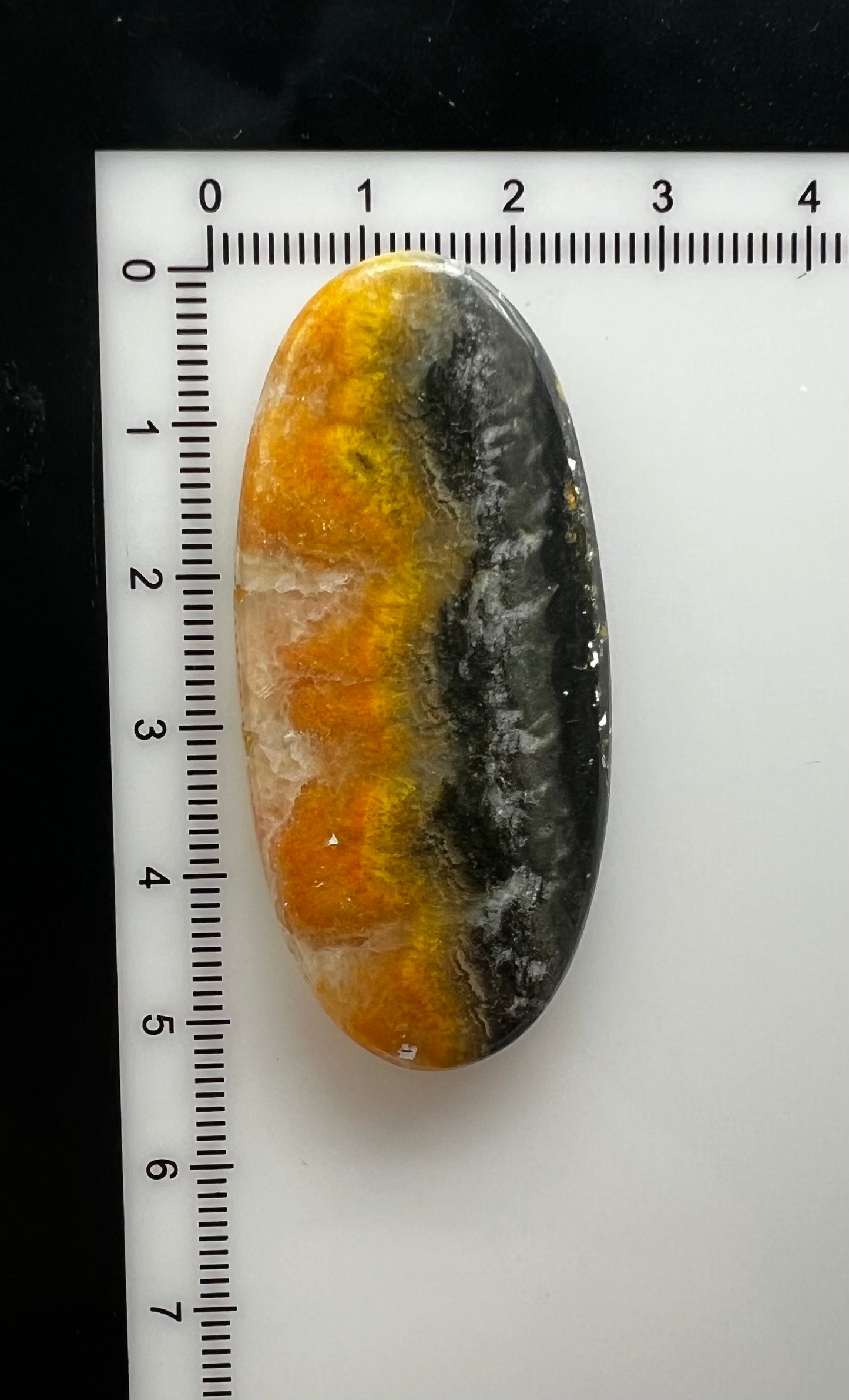 Bumblebee Jasper