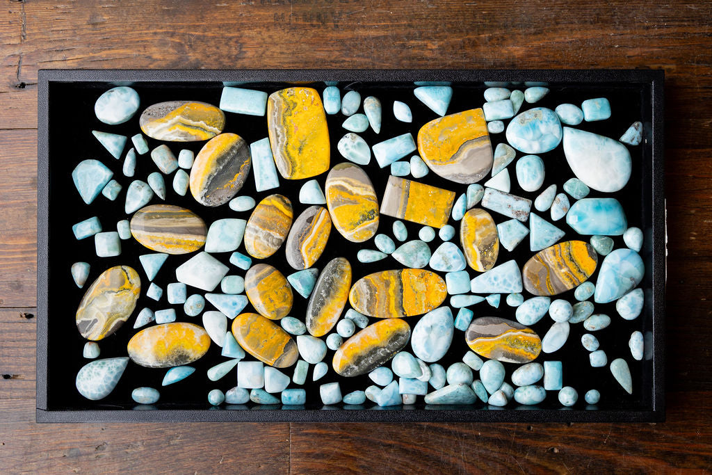 Bumblebee Jasper