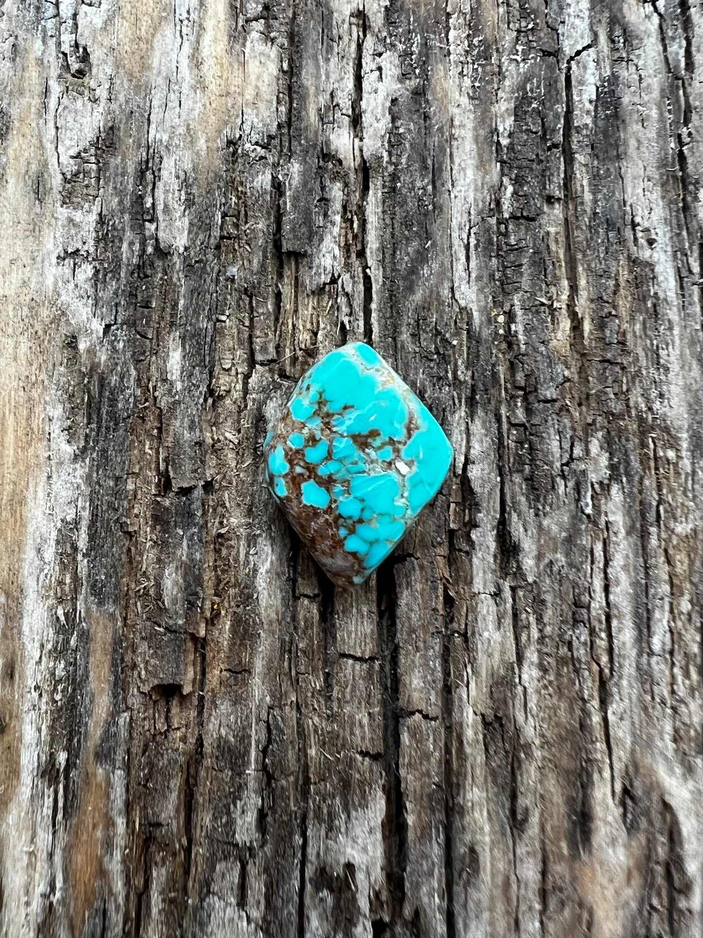 Turquoise