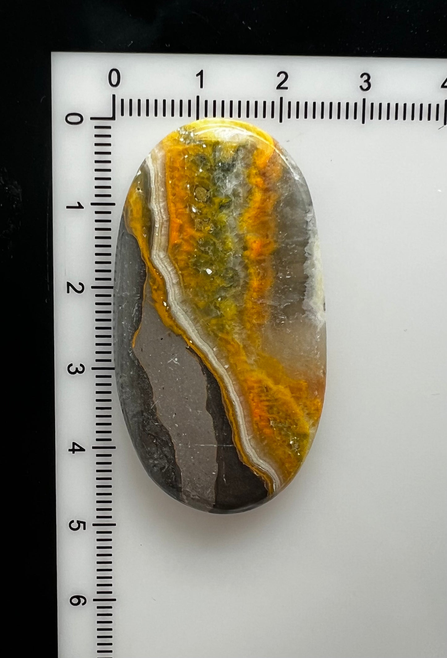 Bumblebee Jasper