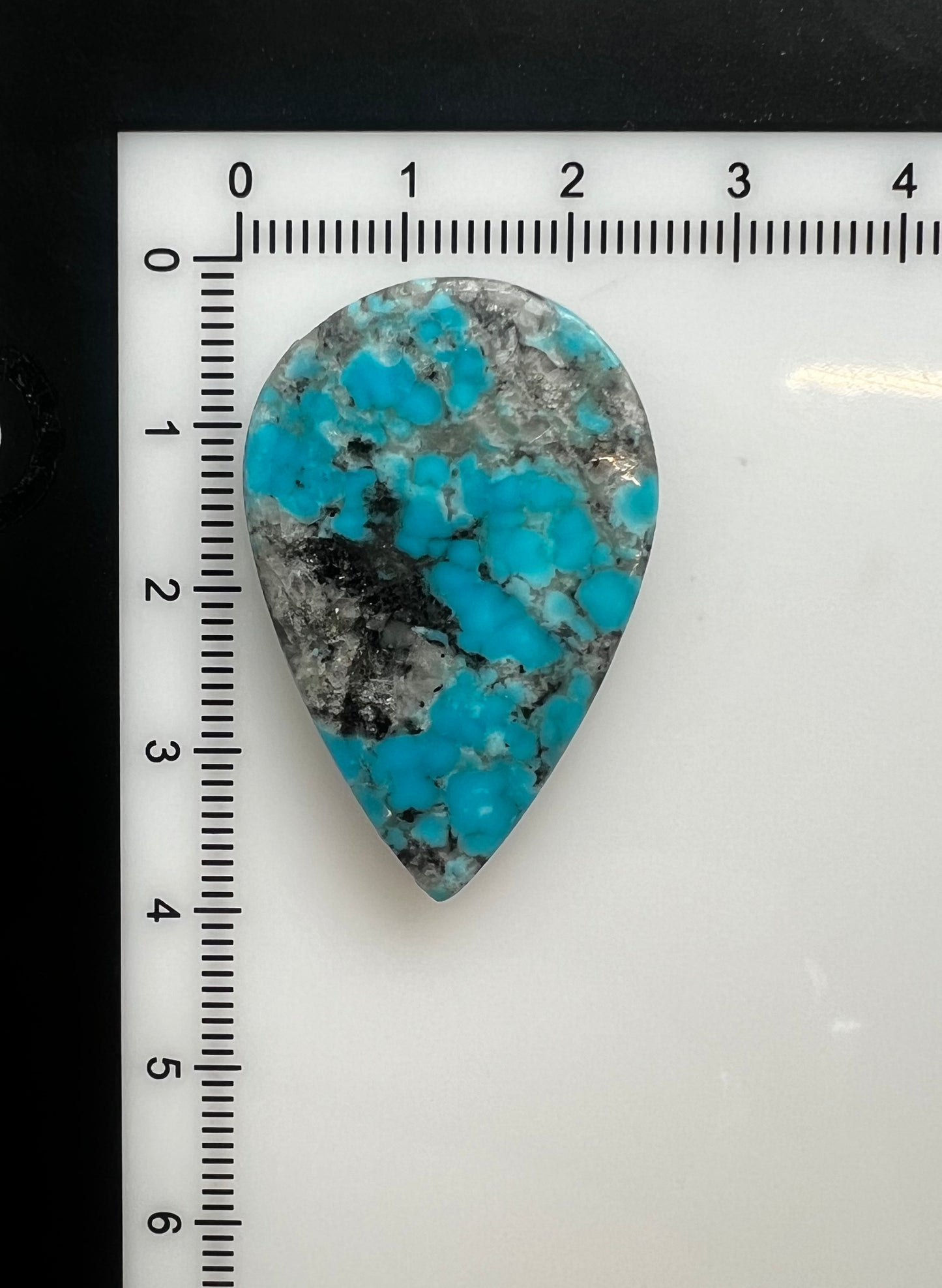 Turquoise