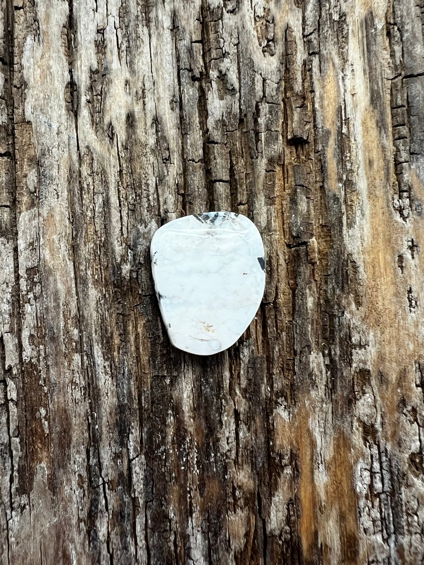 White Buffalo