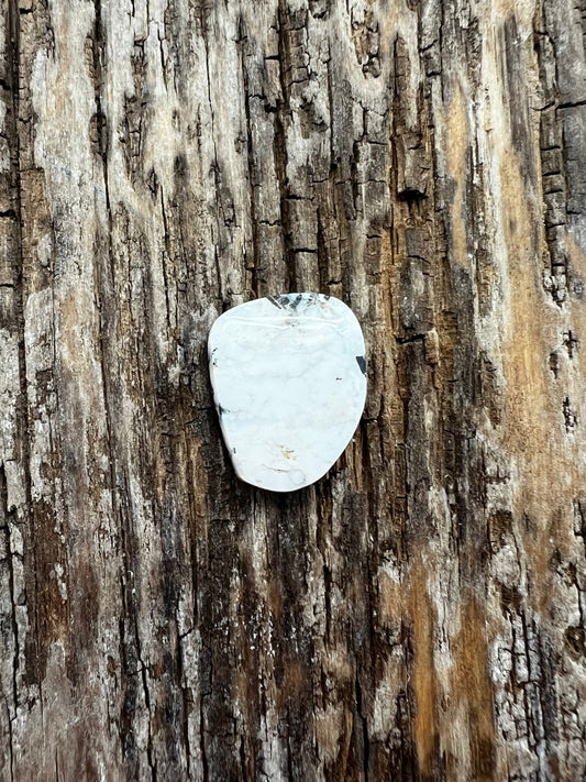 White Buffalo