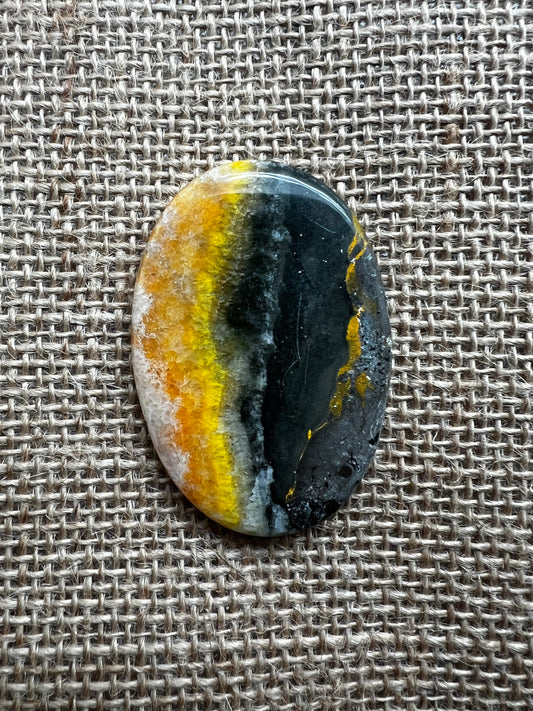 Bumblebee Jasper