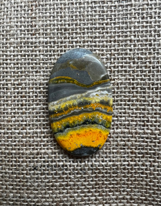 Bumblebee Jasper
