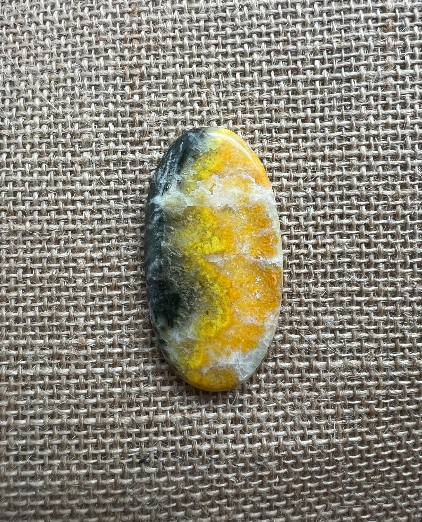 Bumblebee Jasper