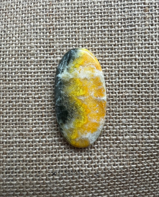Bumblebee Jasper