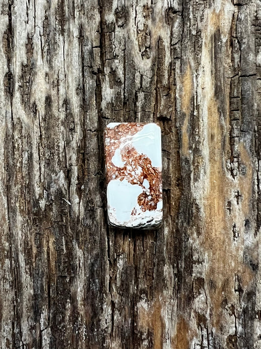 Wild Horse Jasper