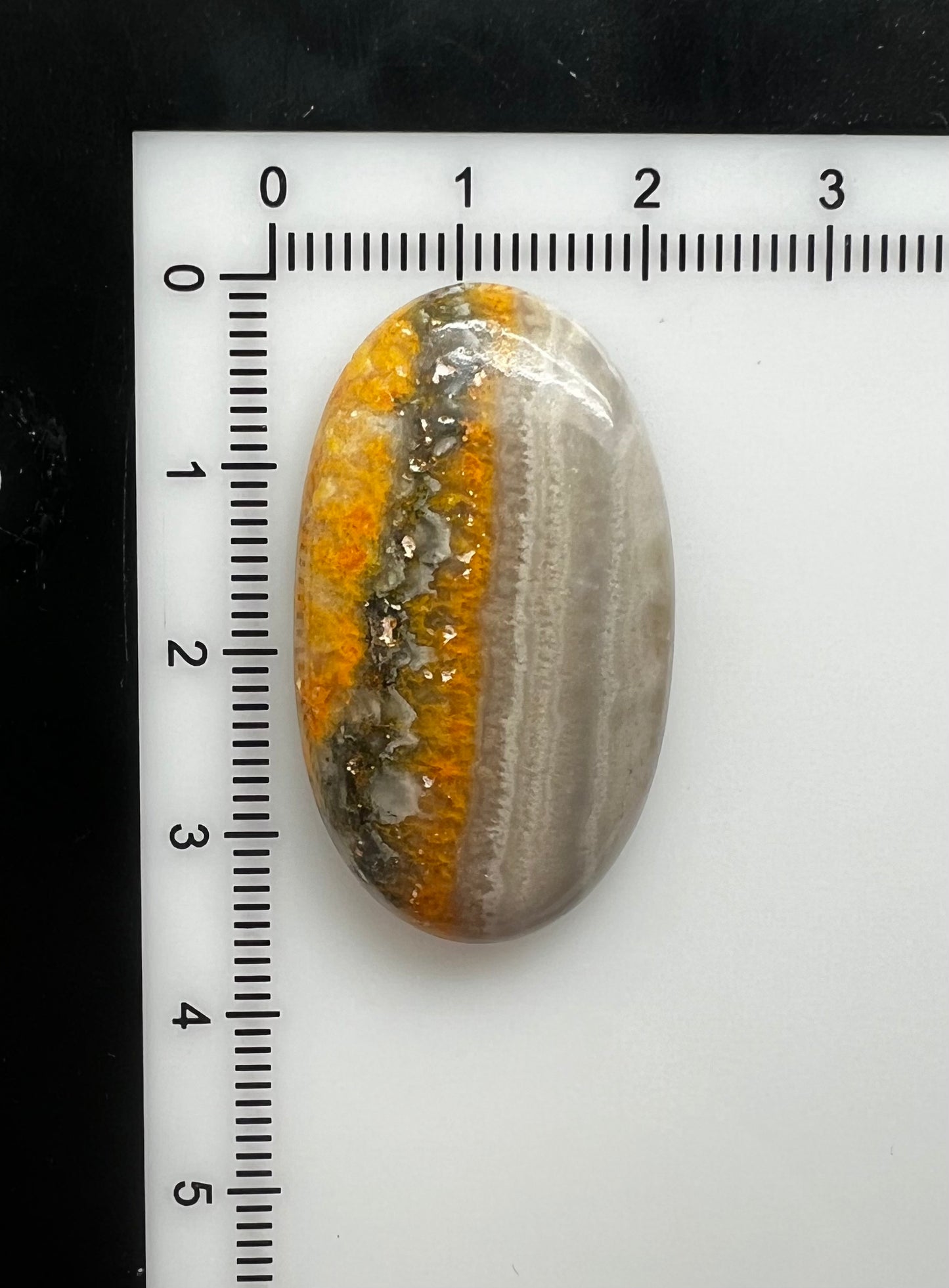 Bumblebee Jasper