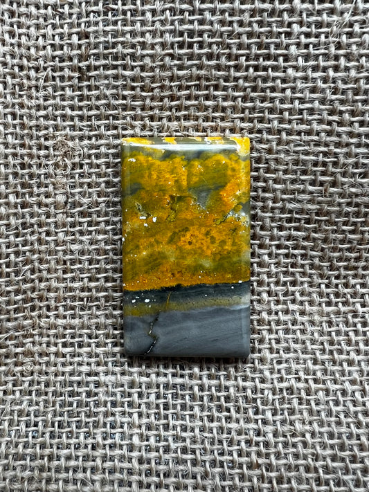 Bumblebee Jasper