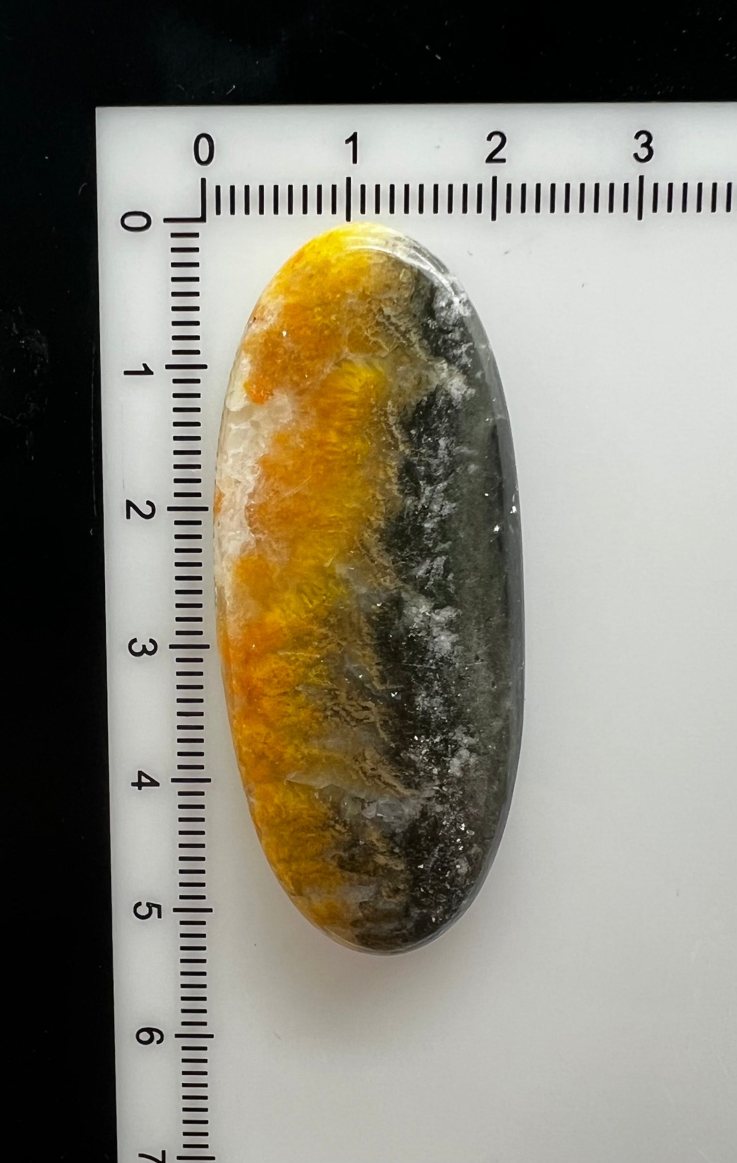 Bumblebee Jasper