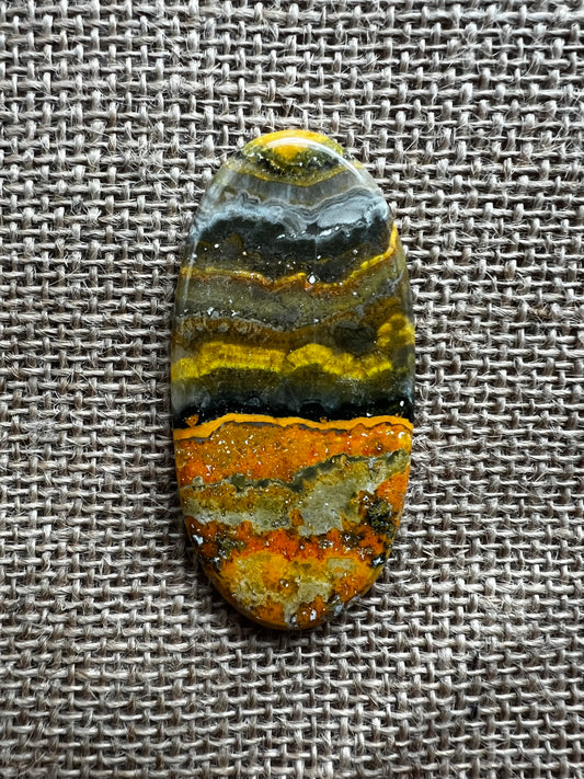 Bumblebee Jasper
