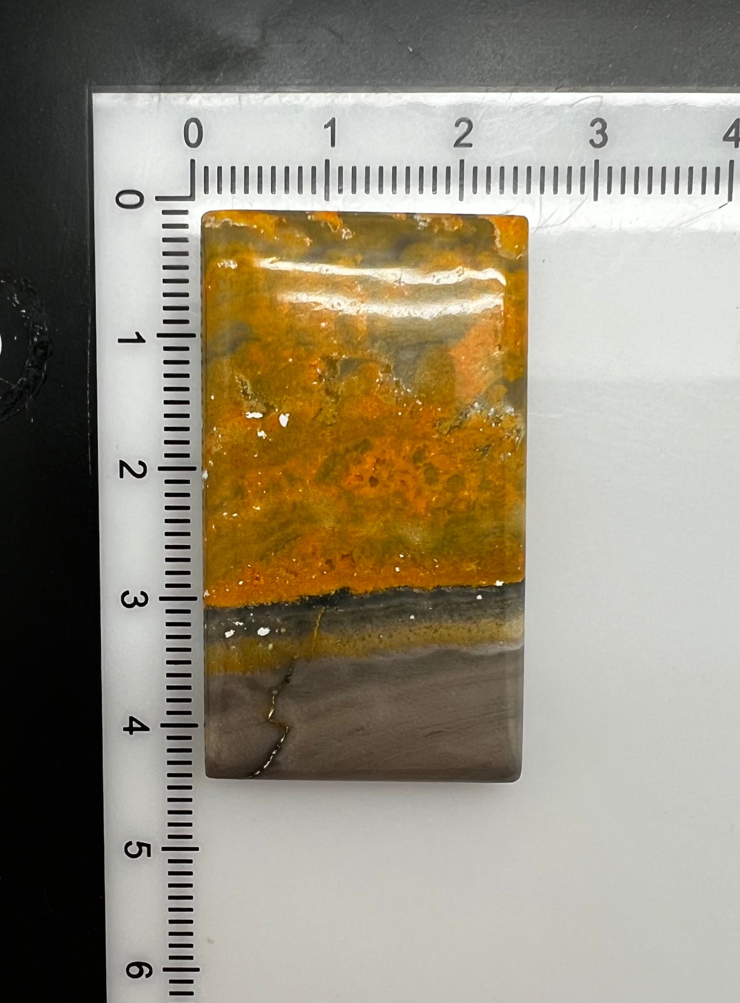 Bumblebee Jasper