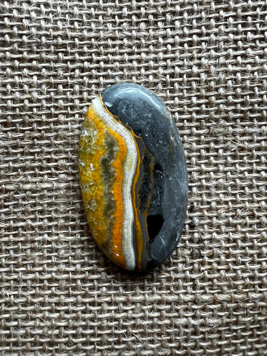 Bumblebee Jasper