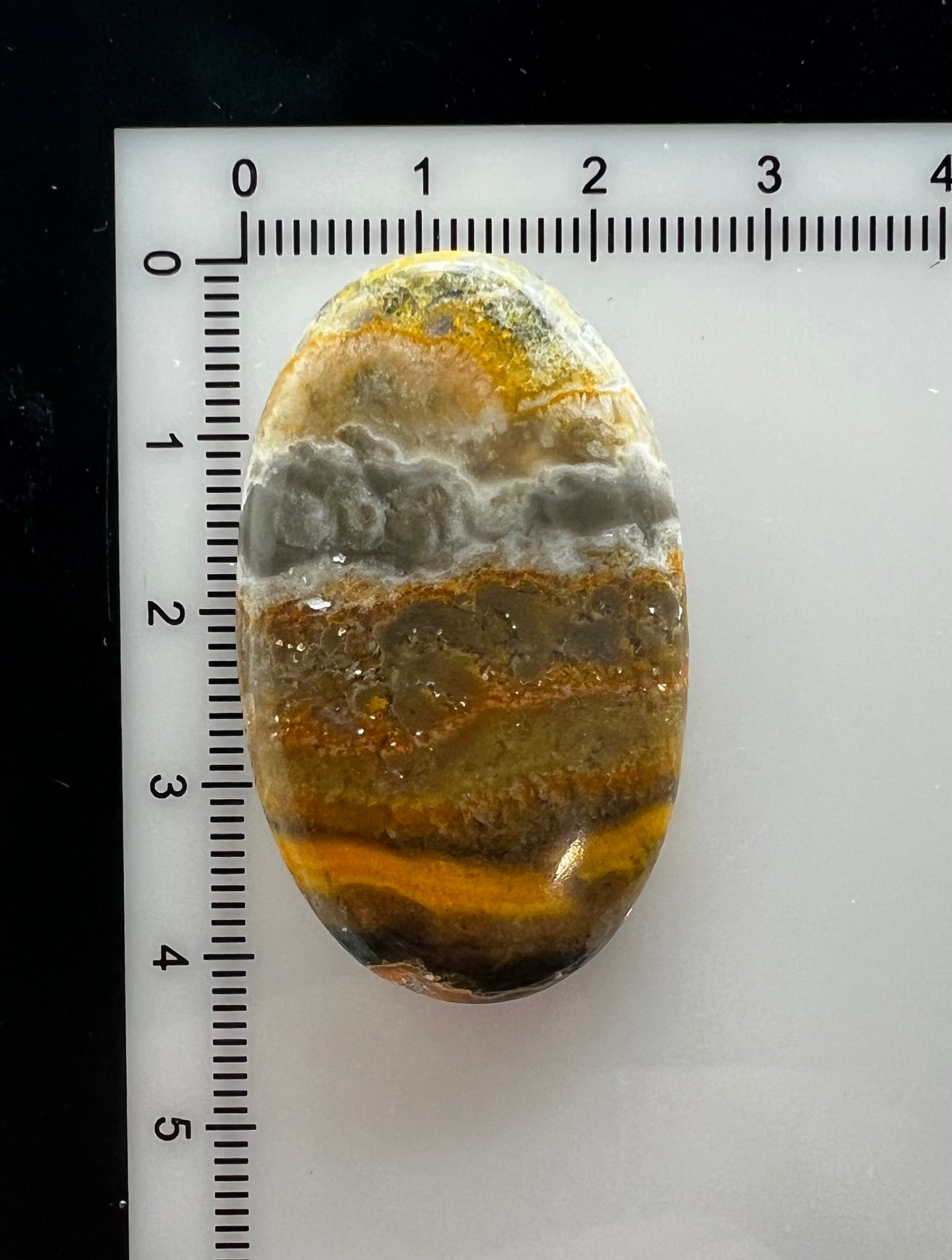 Bumblebee Jasper