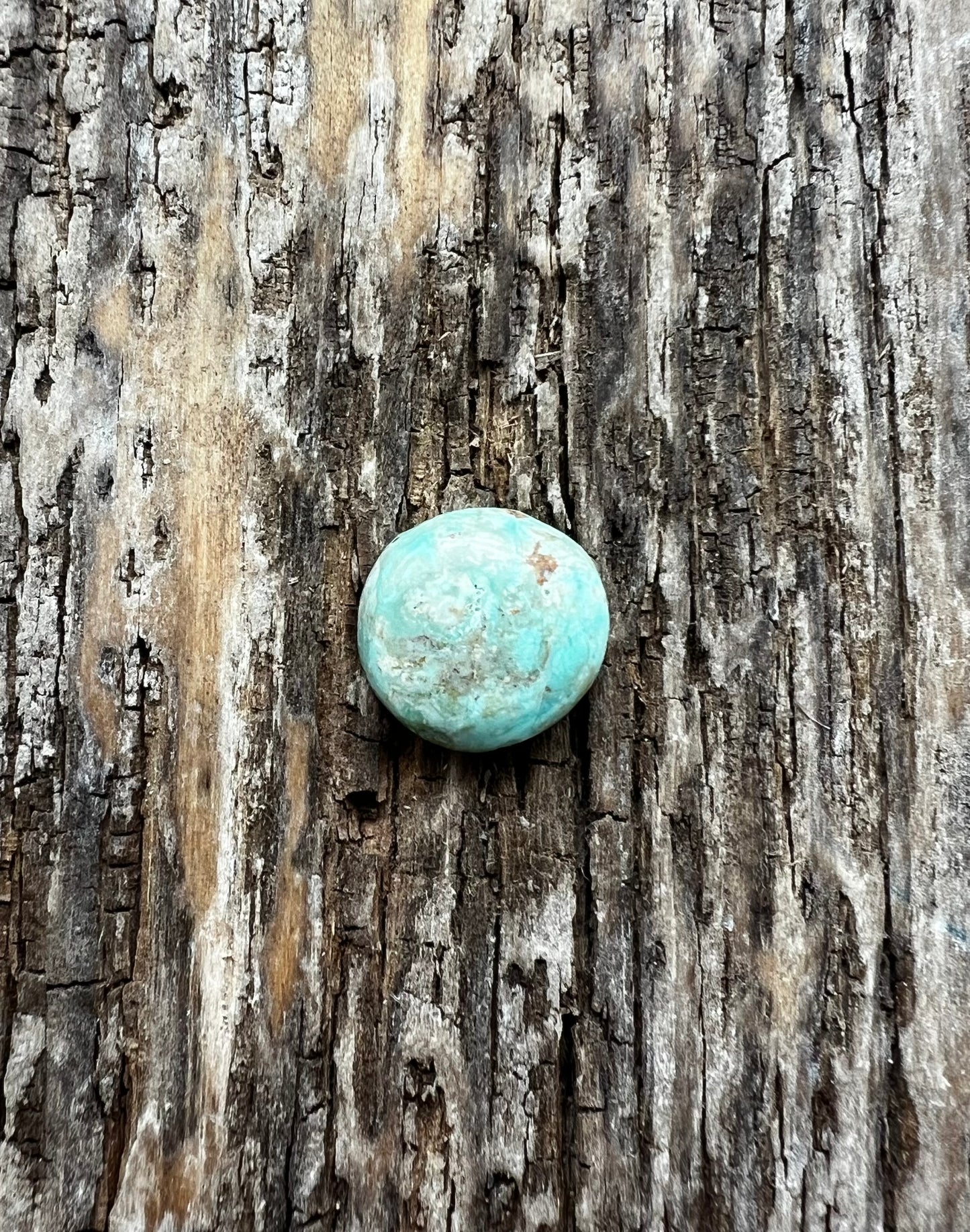 Turquoise