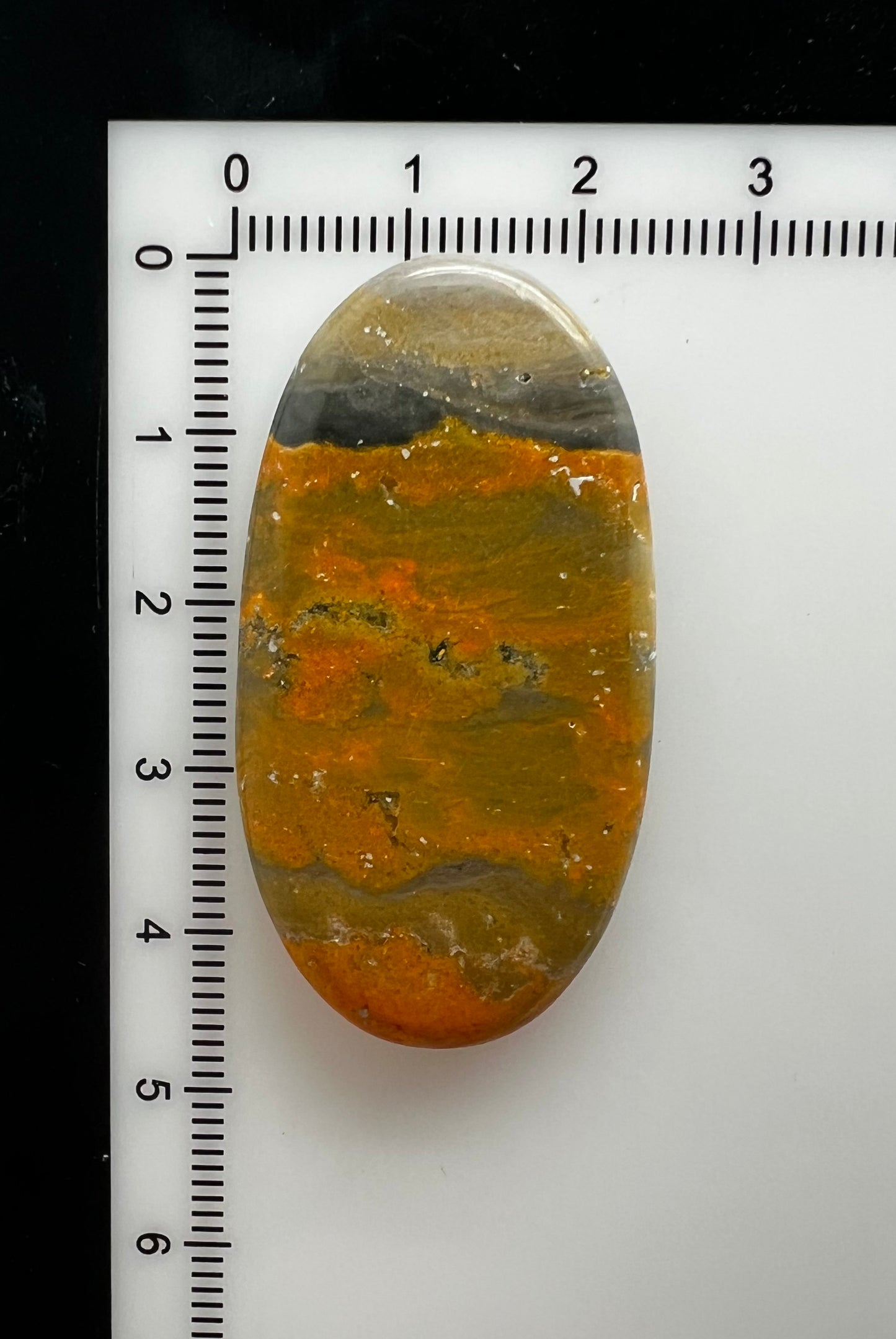 Bumblebee Jasper