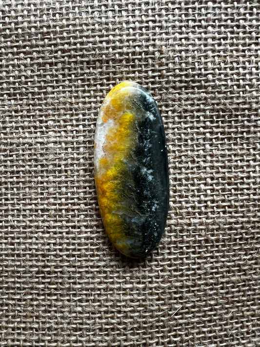 Bumblebee Jasper