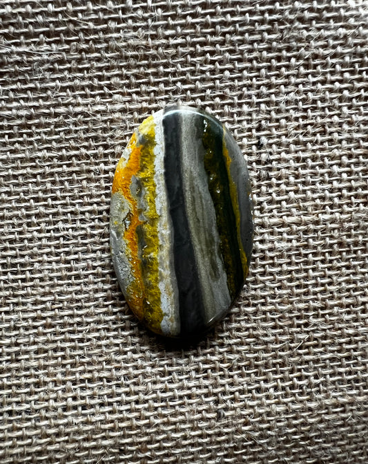 Bumblebee Jasper