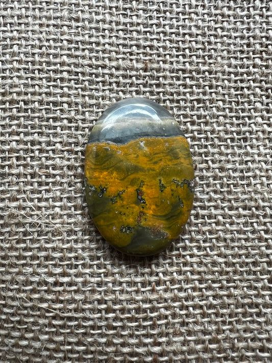 Bumblebee Jasper