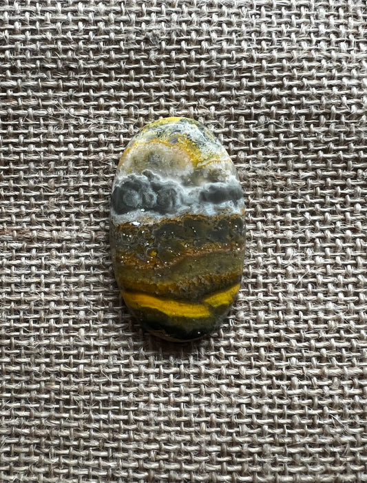 Bumblebee Jasper