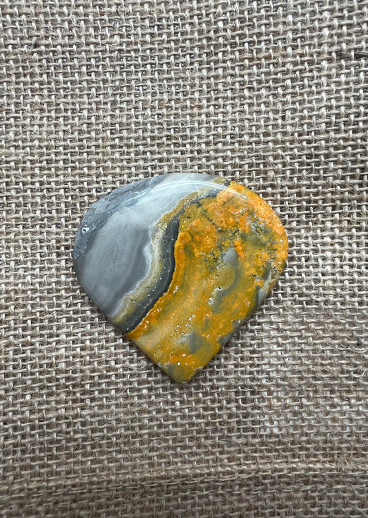Bumblebee Jasper