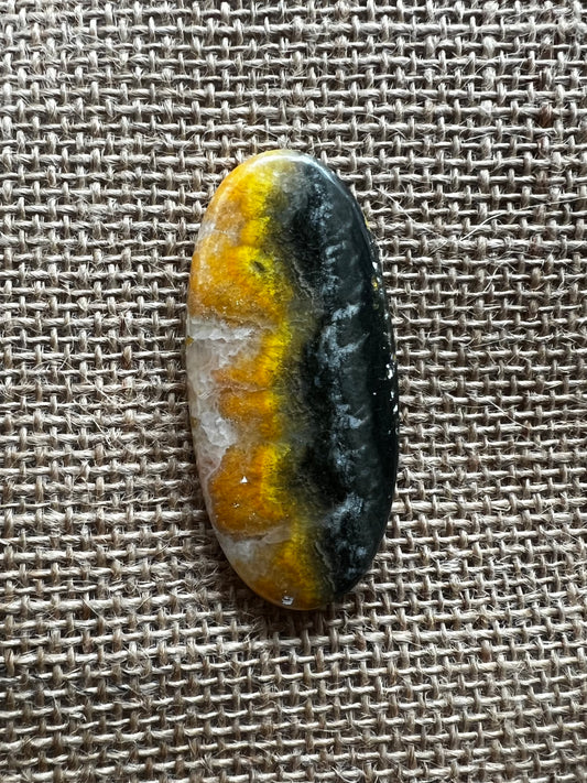 Bumblebee Jasper