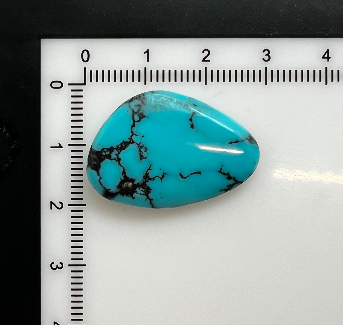 Turquoise