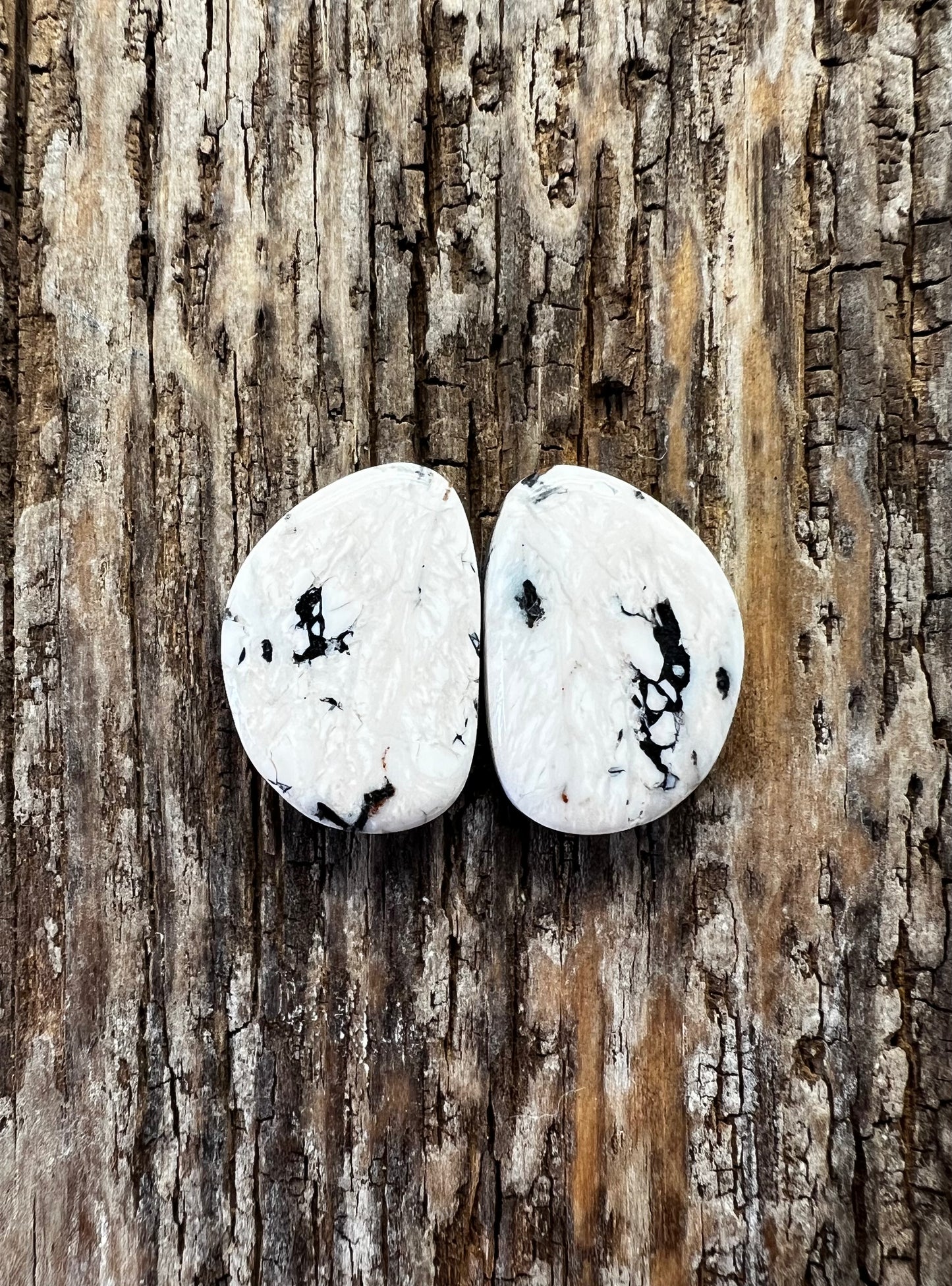 White Buffalo