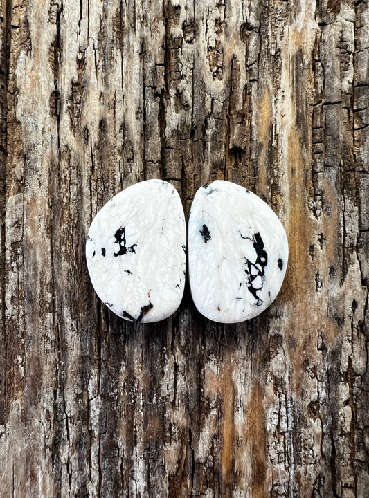 White Buffalo