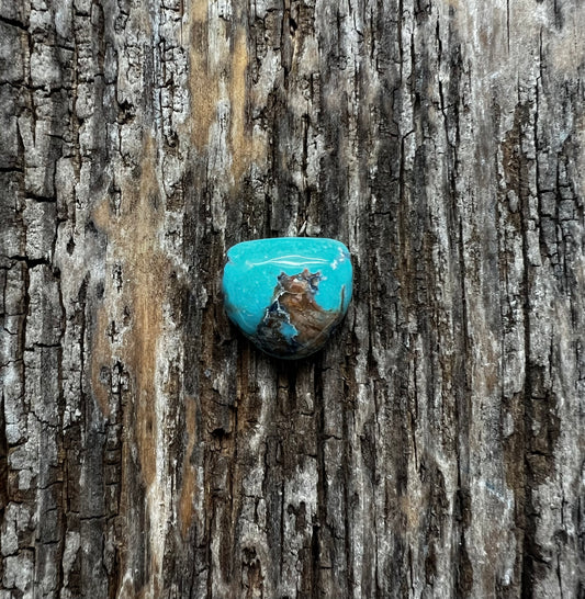 Turquoise