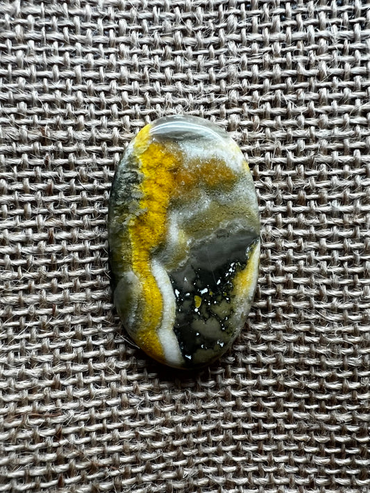 Bumblebee Jasper