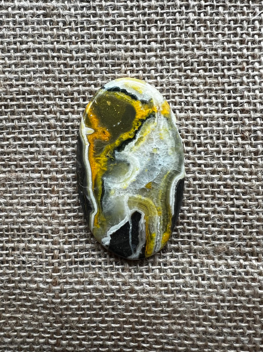 Bumblebee Jasper