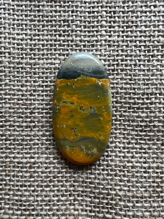 Bumblebee Jasper