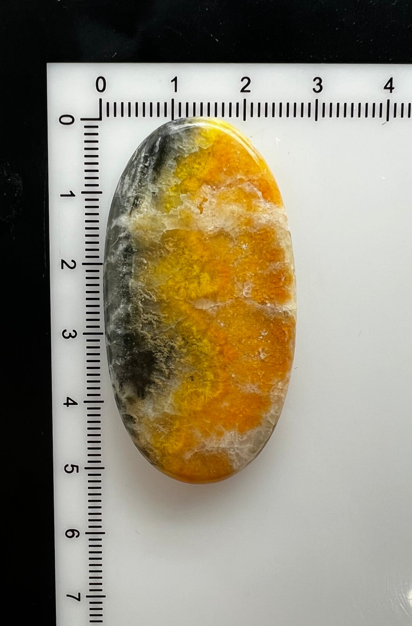 Bumblebee Jasper