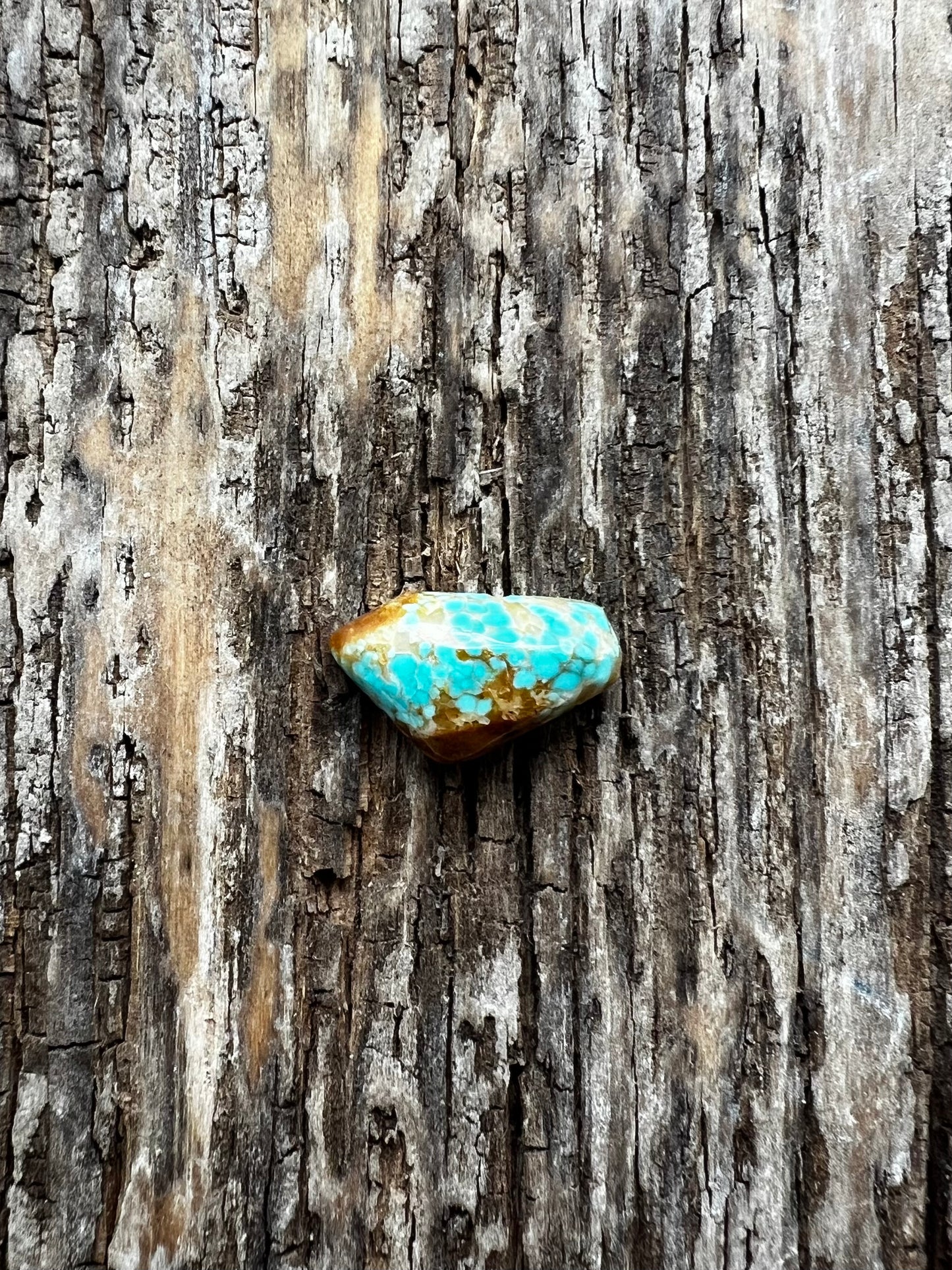 Turquoise