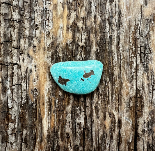 Turquoise
