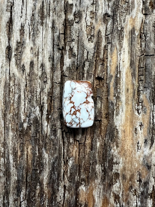 Wild Horse Jasper