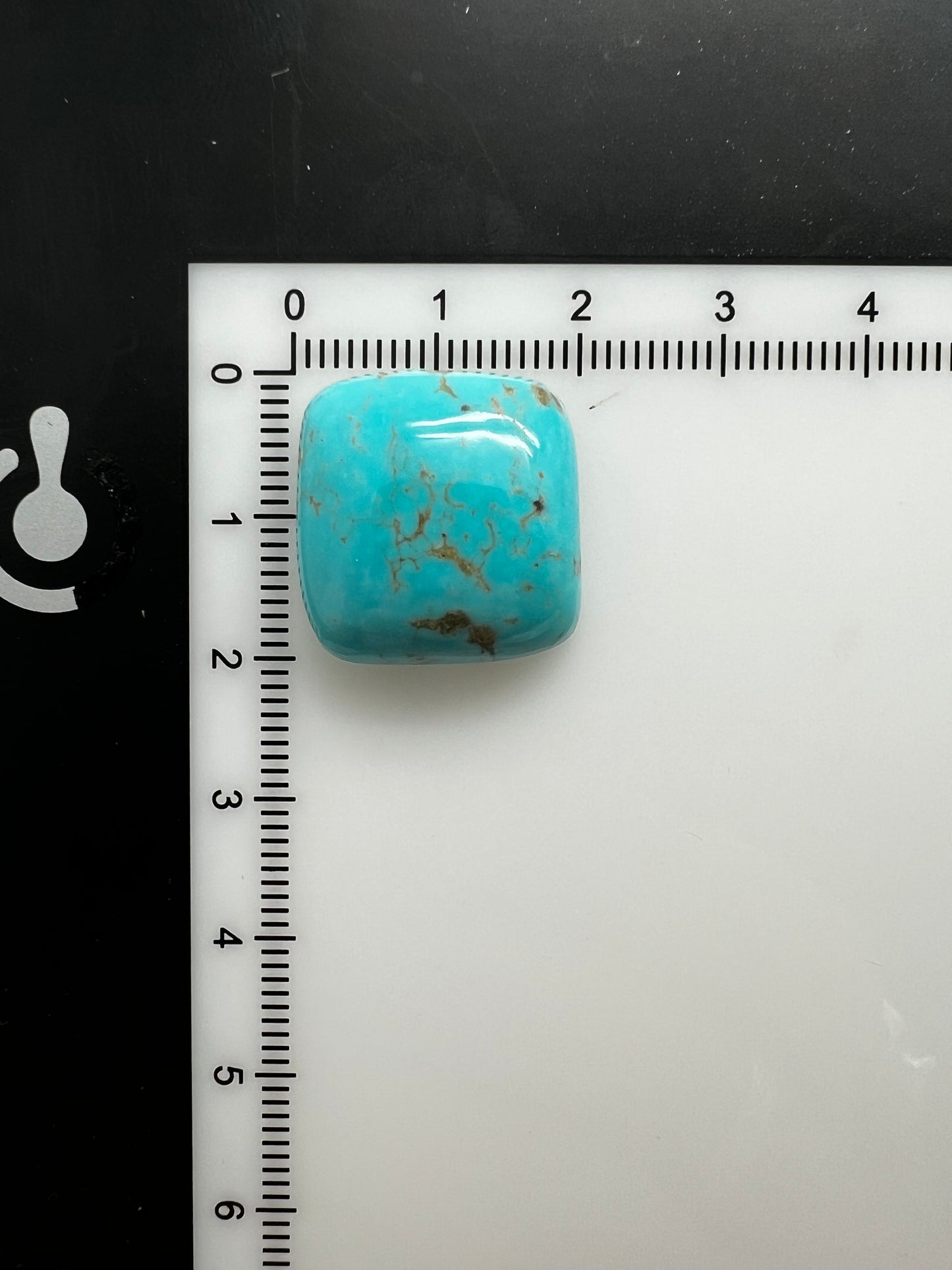 Turquoise