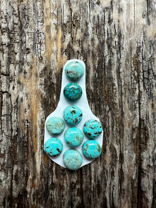 Turquoise lot 5 Y