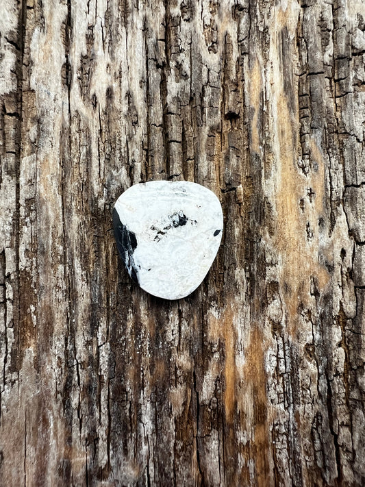 White Buffalo