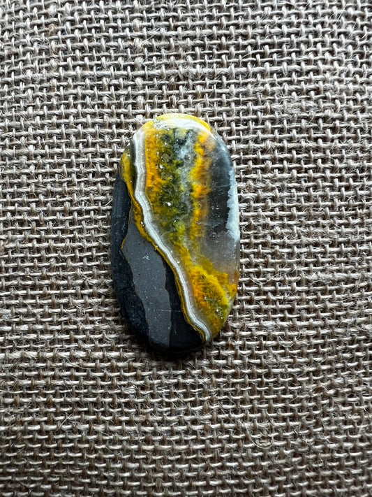 Bumblebee Jasper